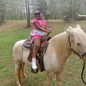 Meet your Posher, Priscilla